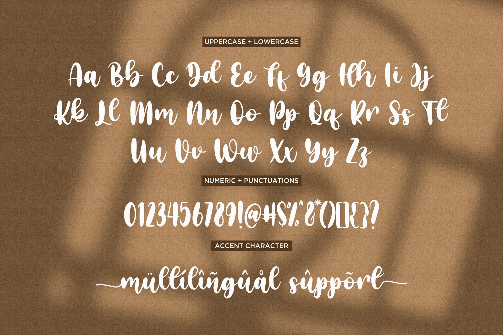 Catchy Sunday - Handwritten Script Font with Swash tails