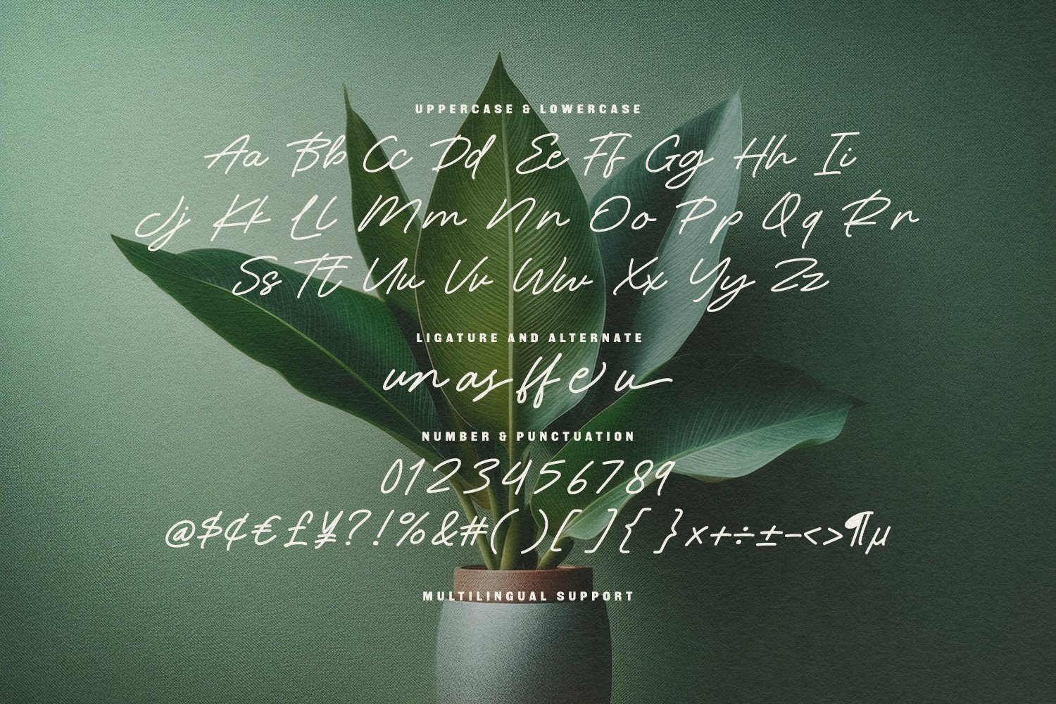 Tungle Rastu Raw Signature Script Font