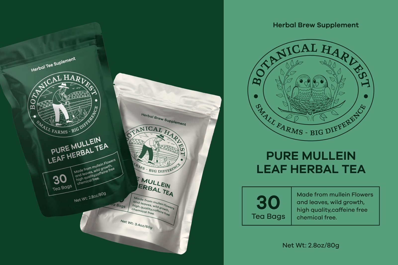 Vintage Nature Illustrations Bundle