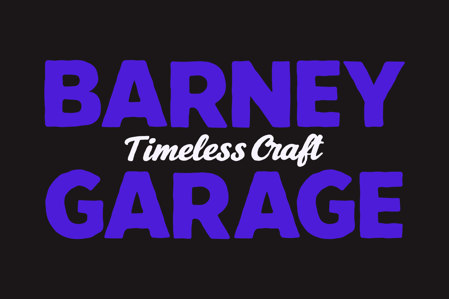 Segalecy Retro Vintage Font Duo Script Sans