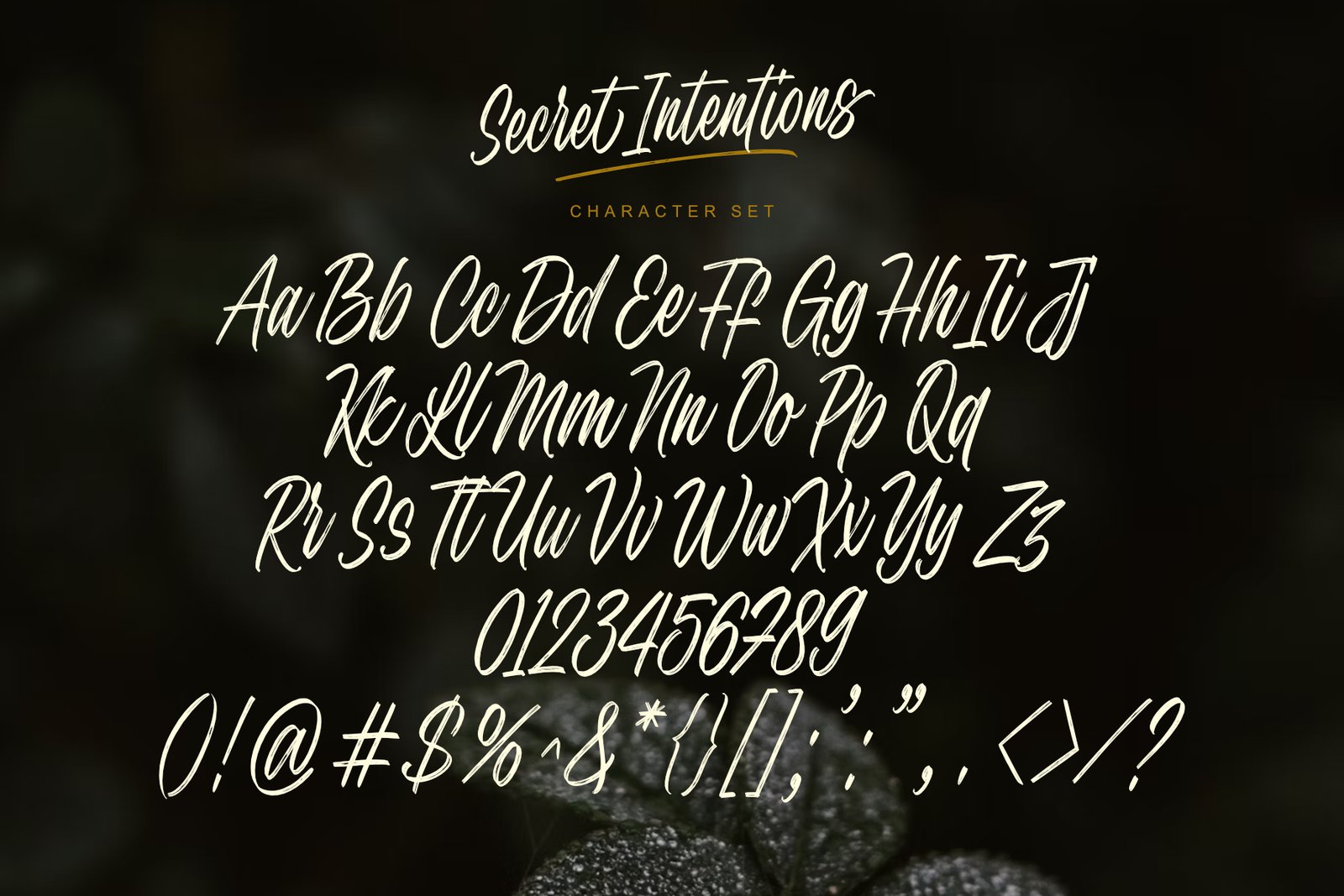 Secret Intentions Font