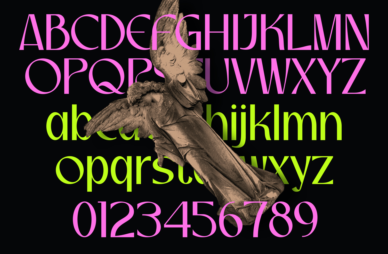 Losera Font