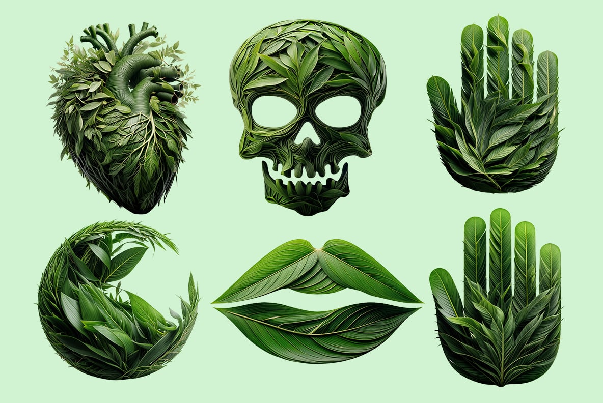 Wildleaf Font