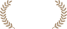 Next-Gen Visuals