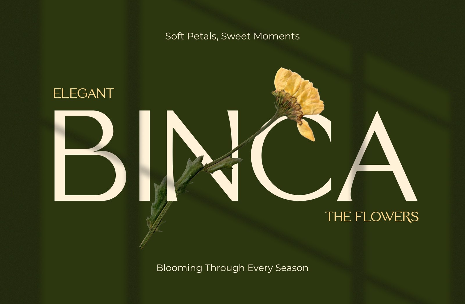 Biegva – Elegant Beauty Sans Serif