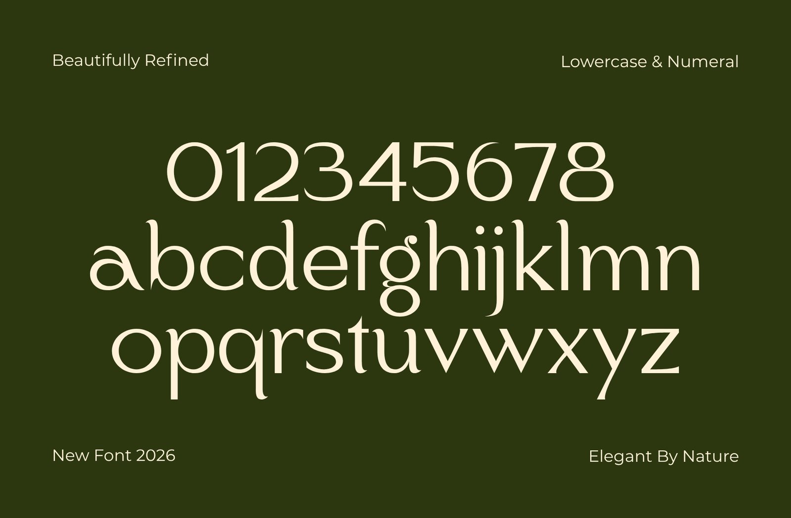 Biegva – Elegant Beauty Sans Serif