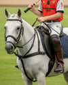 Boy Wearing Full Polo Kit on Horse Mockup