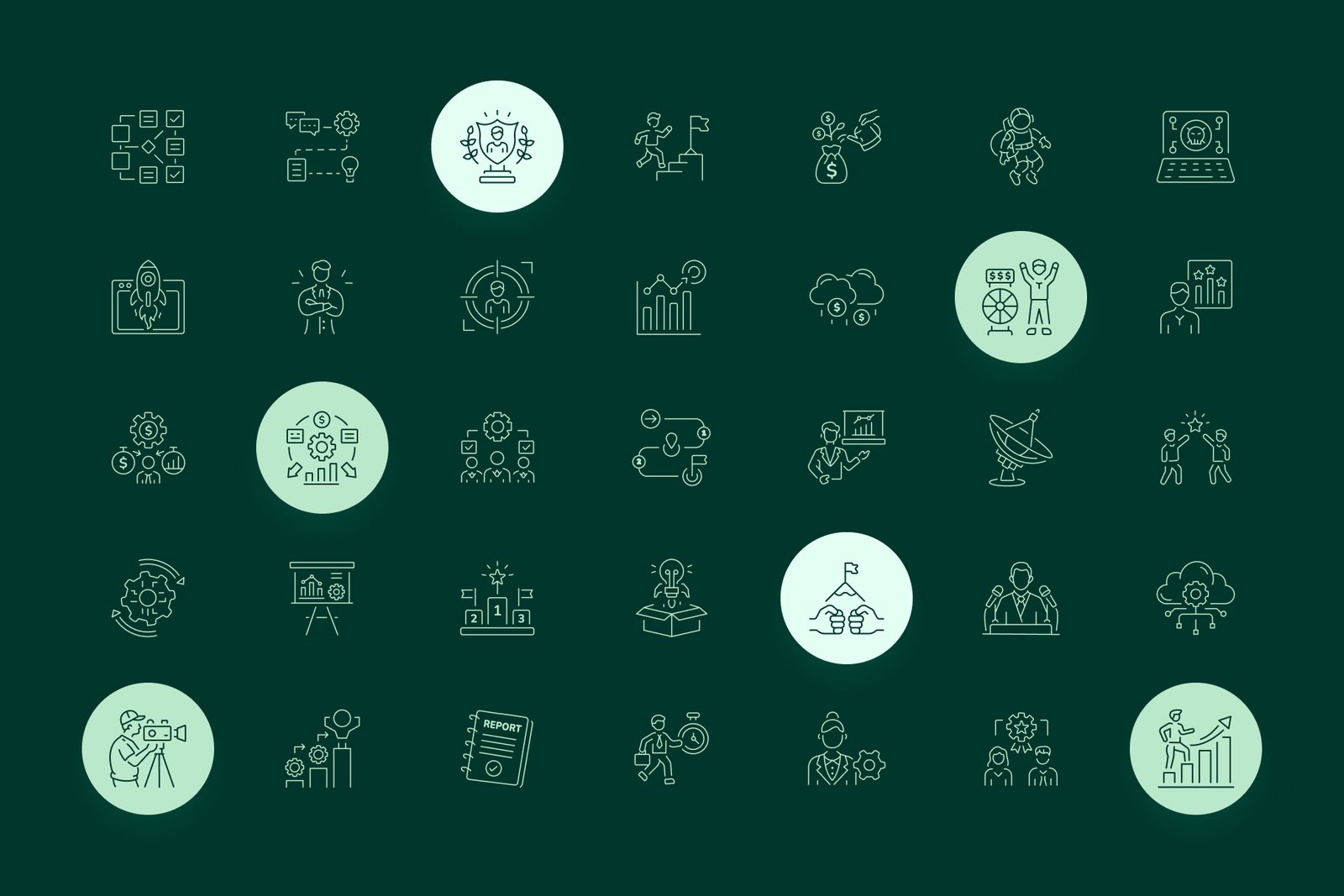 Business and Growth Icon