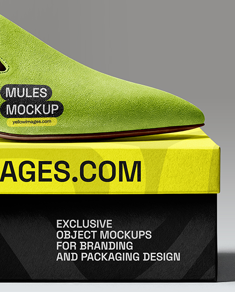 Mule on Shoe Box Mockup