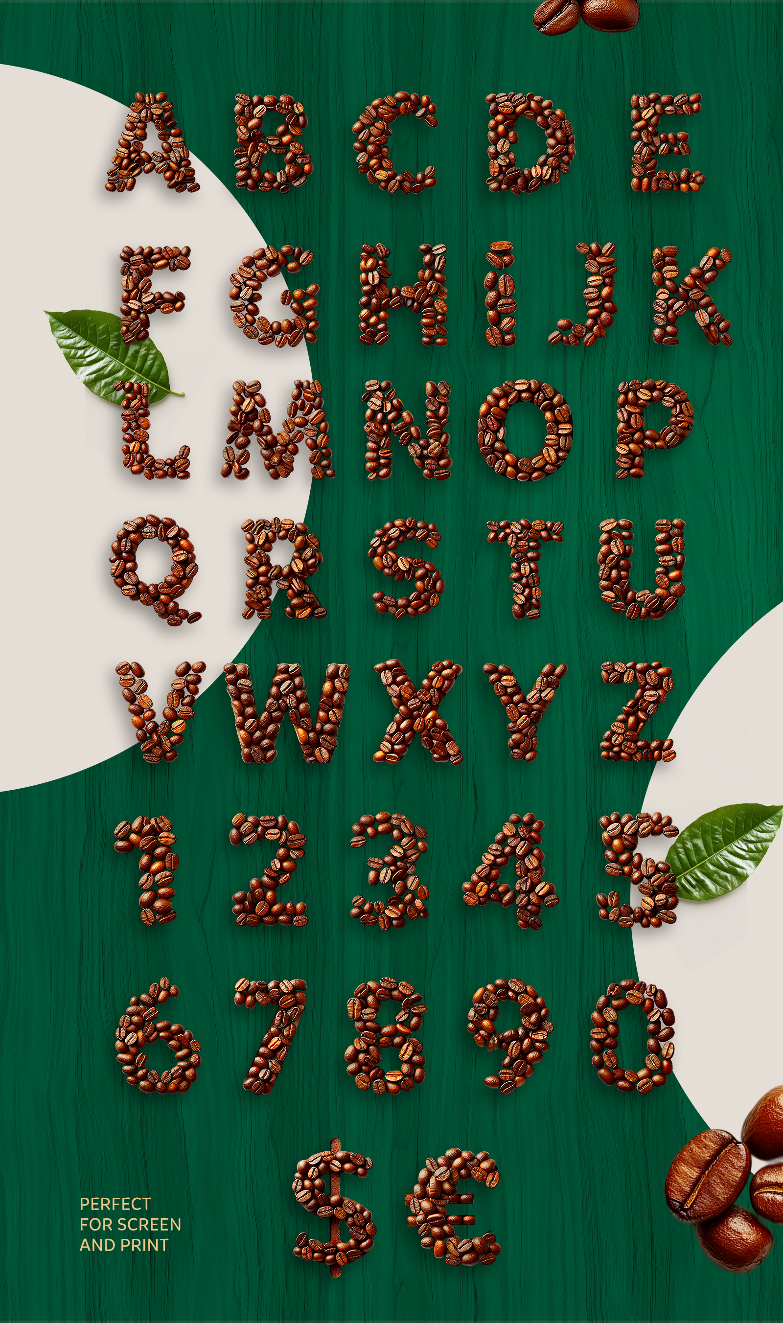 Coffee Beans Type: Geometric Coffee Beans Alphabet
