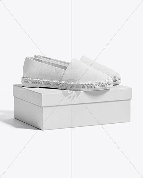 Pair of Women's Espadrilles with Shoe Box Mockup