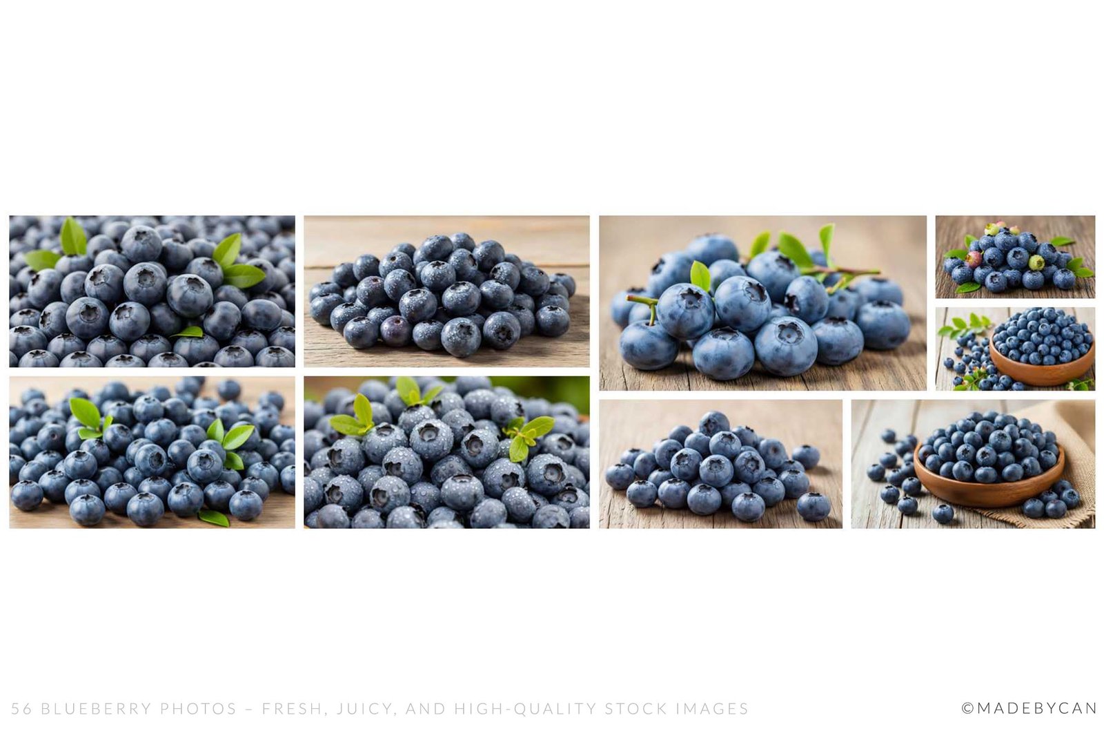 56 Blueberry Photos – Fresh, Juicy, and High-Quality Stock Images