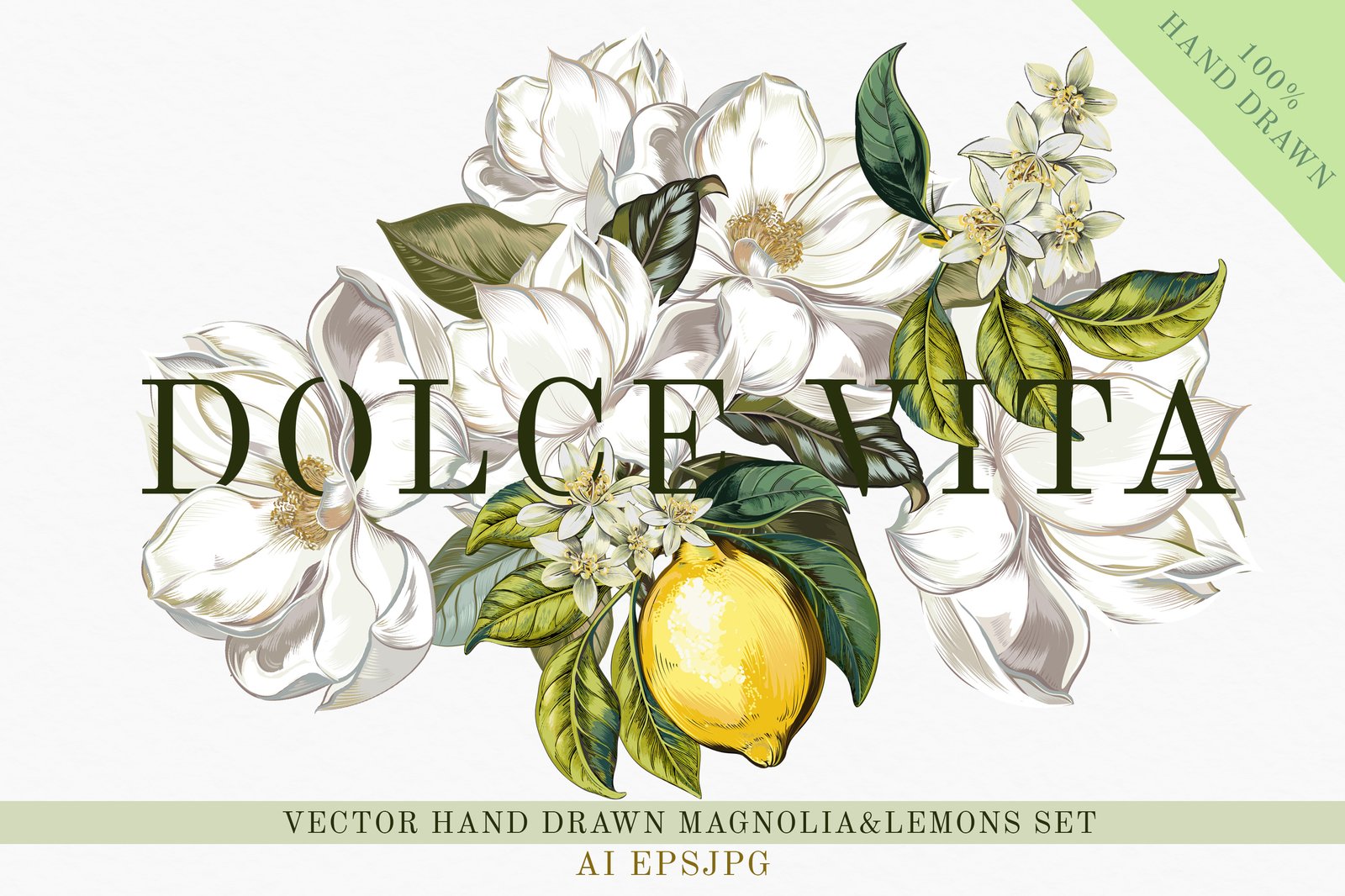 Lemons and Magnolia vector set