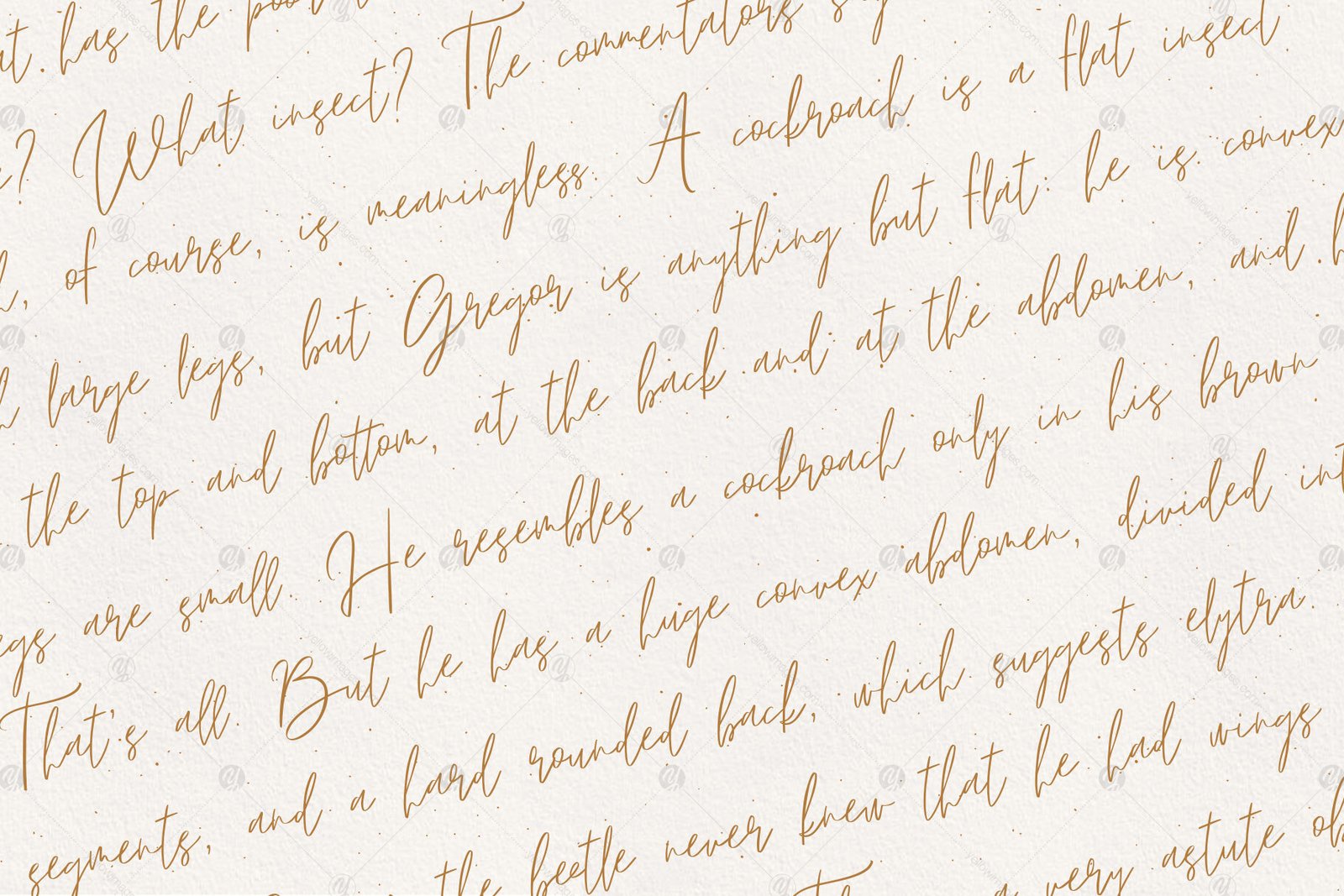 Lyuli Font Script
