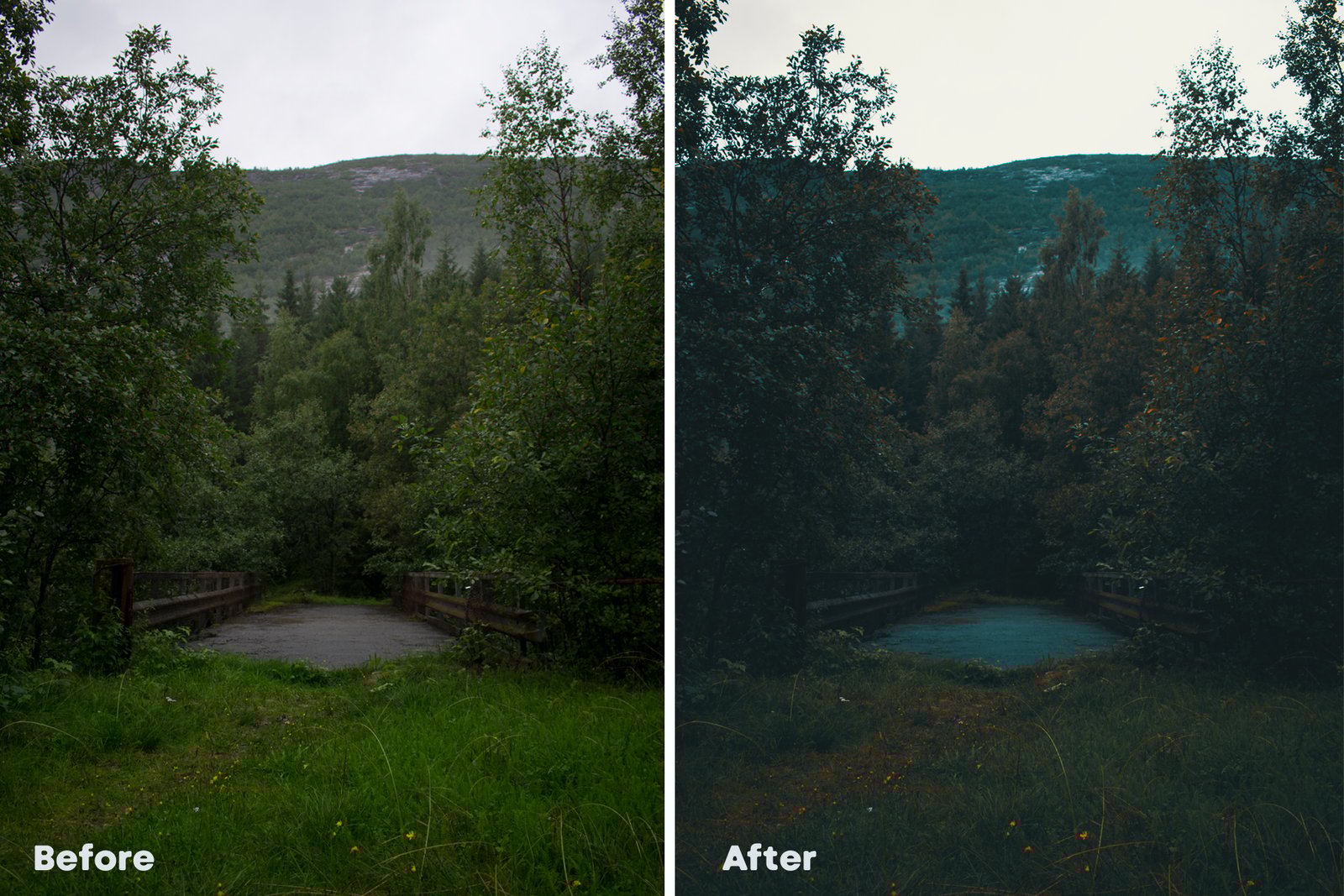 Cinematic Luts - Colour Grading for Photos and Videos