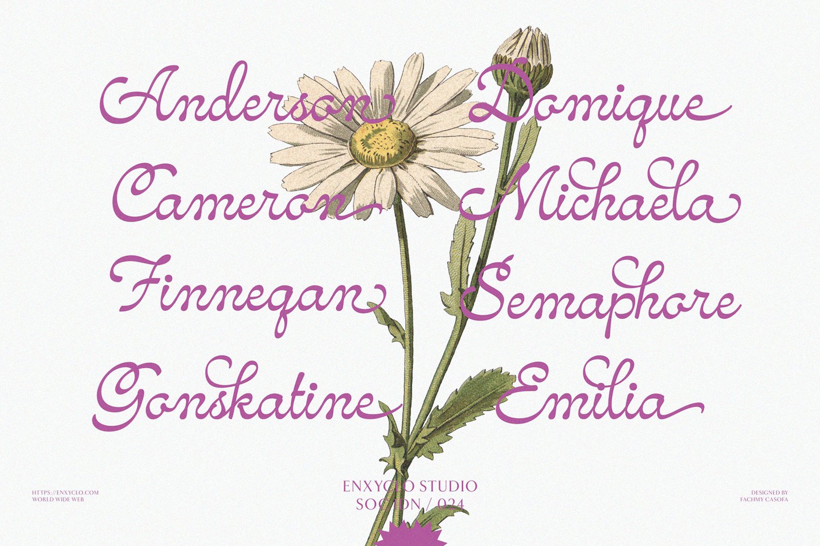 NCL Amhiney - Casual Script Font
