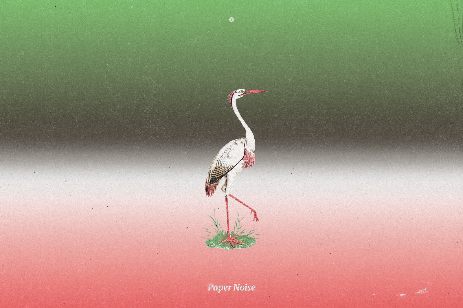 176 Paper Noise Overlays &amp; Textures