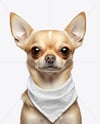 Chihuahua Wearing a Bandana Mockup