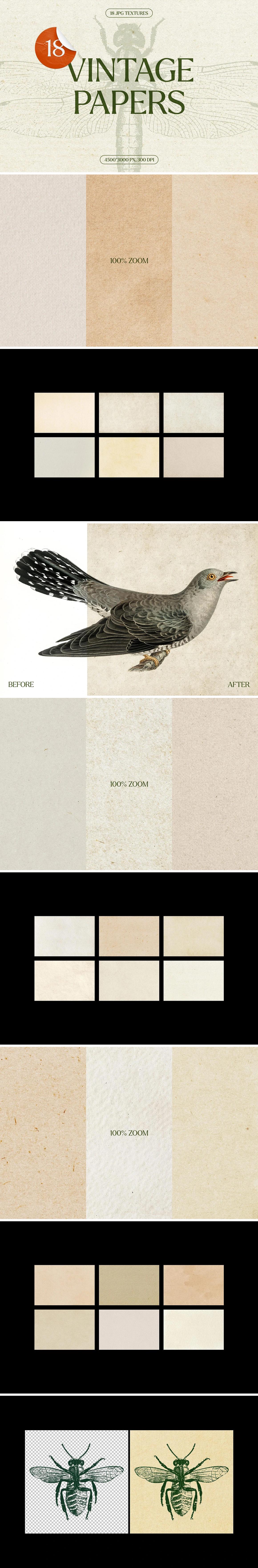 Paper Textures Bundle