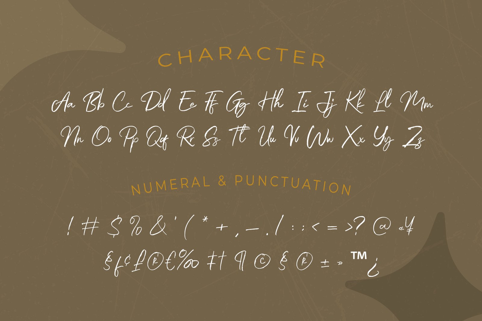 Arwen - Script Handwritten