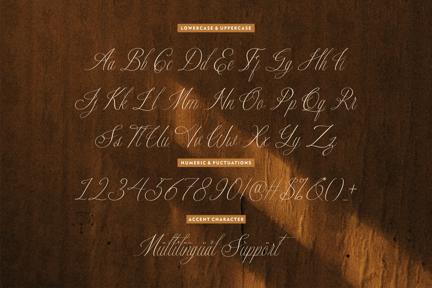 Dreamingland - Elegant Script Font