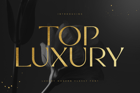 Top Luxury - Luxury Modern Classy Font - Magazine font