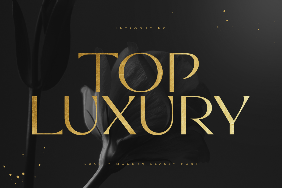 Top Luxury - Luxury Modern Classy Font