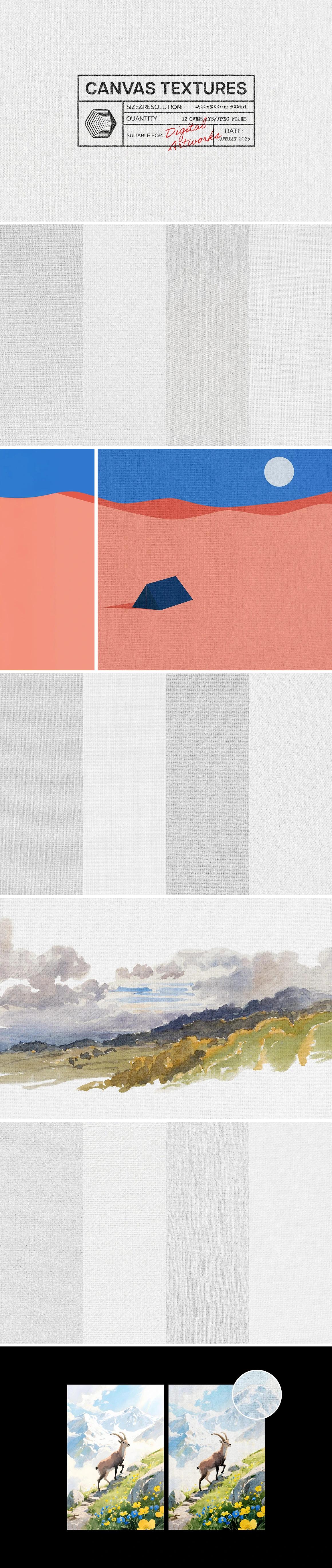Paper Textures Bundle