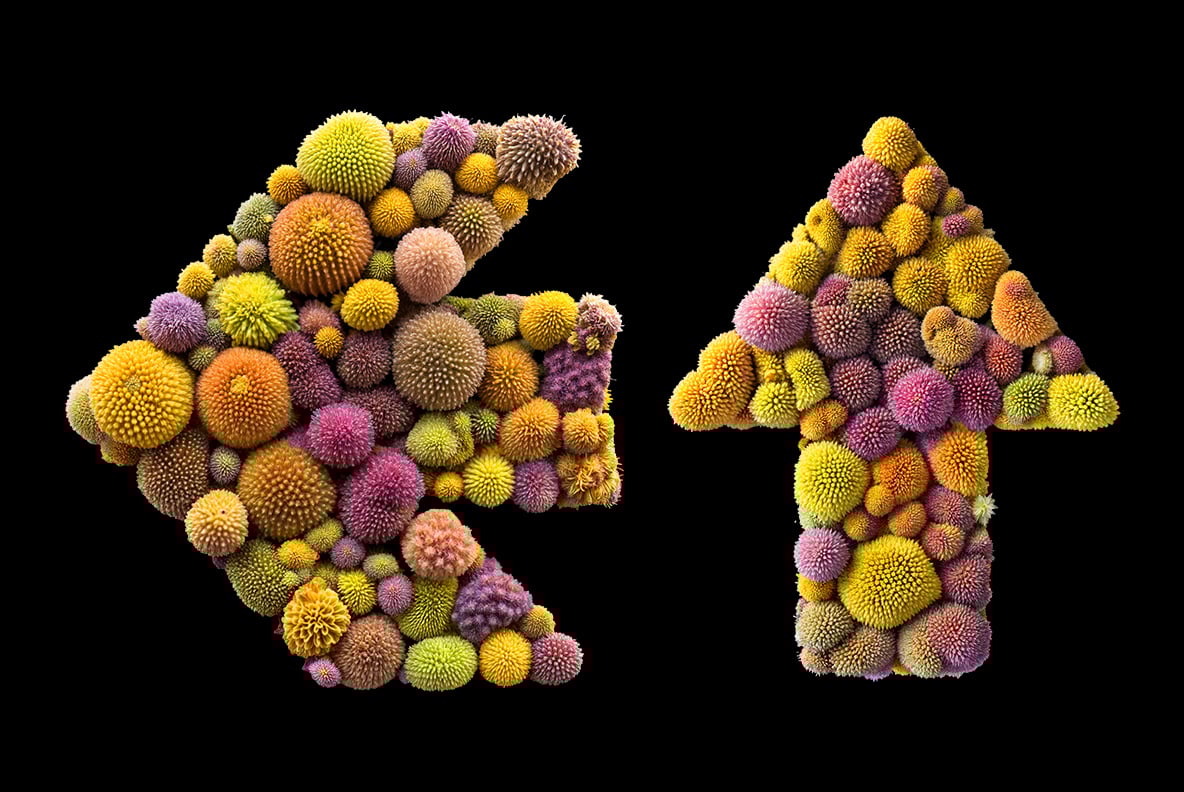 Microbiome Font
