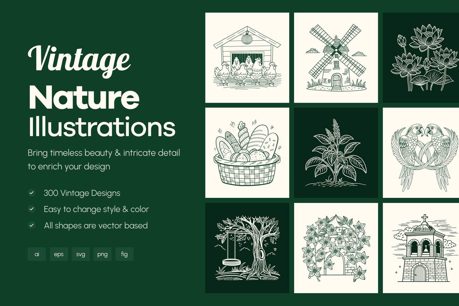 Vintage Nature Illustrations Bundle