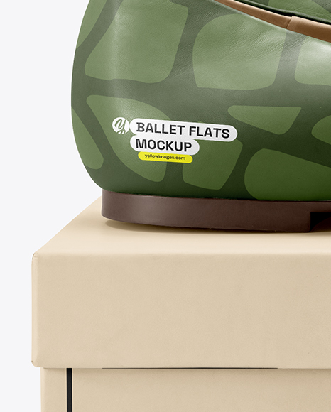 Pair of Leather Ballet Flats on Shoe Box Mockup