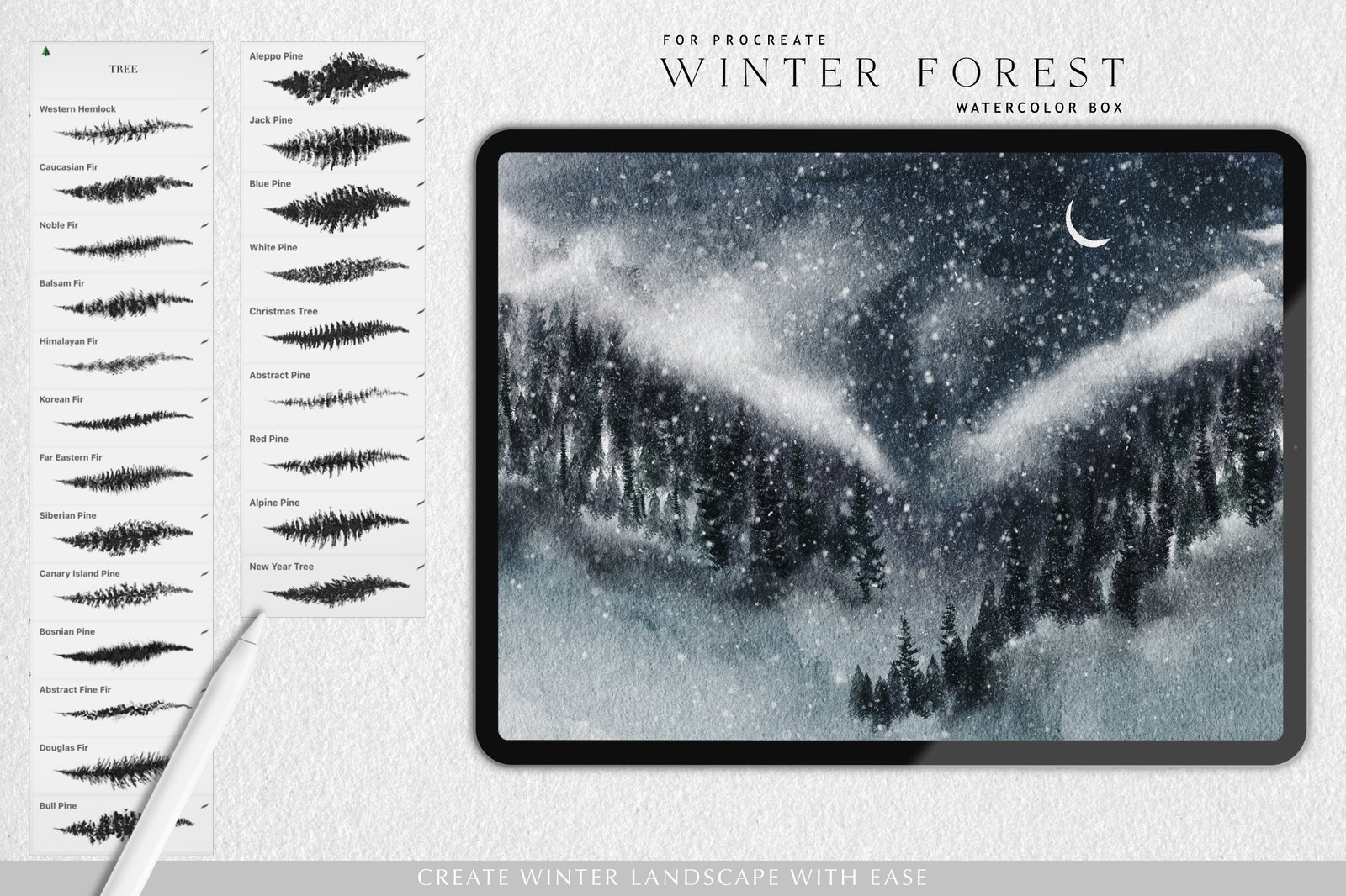 Winter Forest Box for Procreate