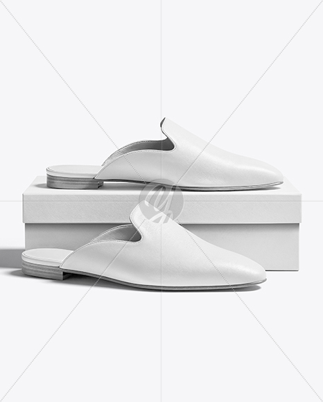 Pair of Mules with Shoe Box Mockup
