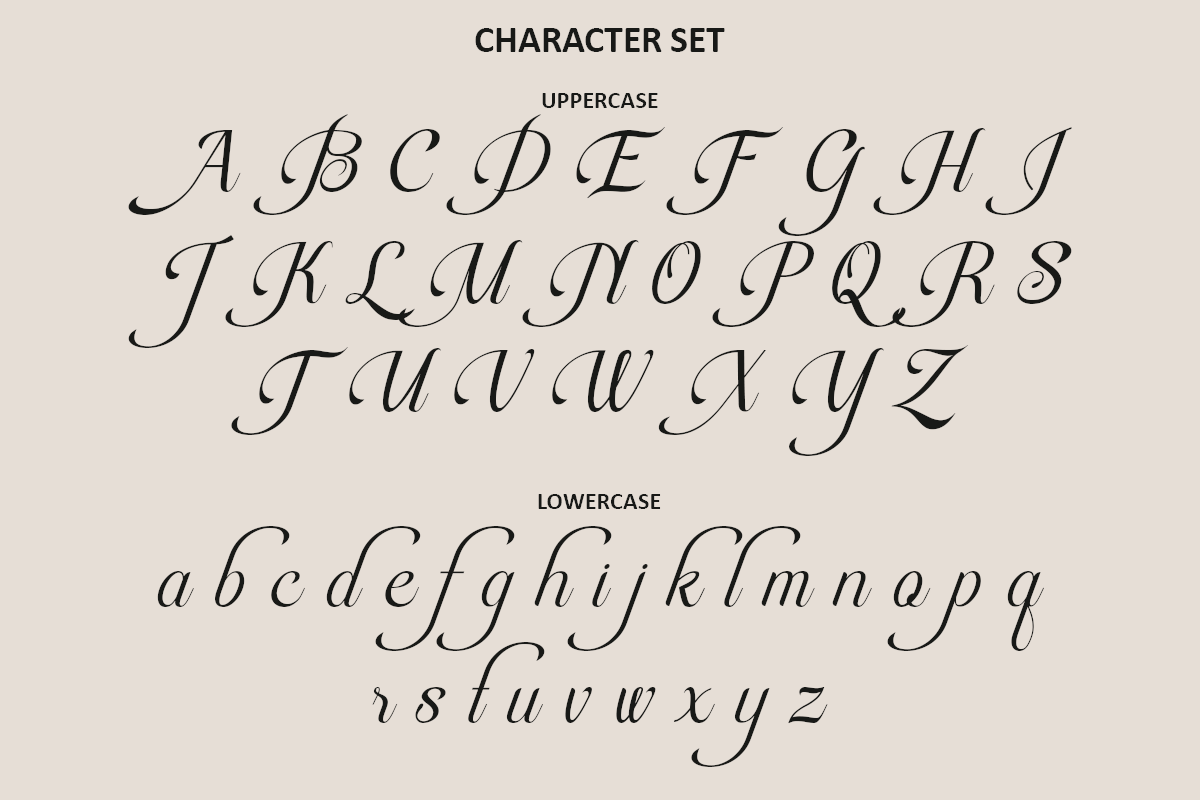 Rapiola - Elegant Script Font