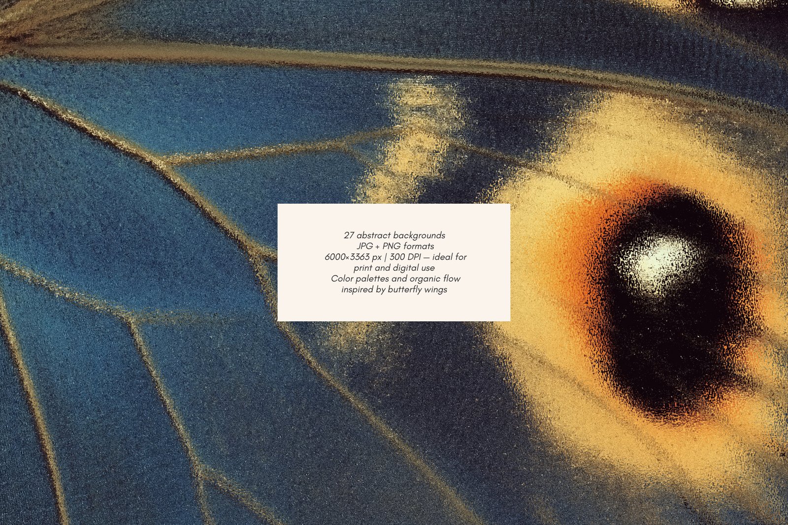 PAPILLON | Abstract Textures