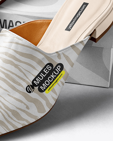 Pair of Mules with Shoe Box Mockup