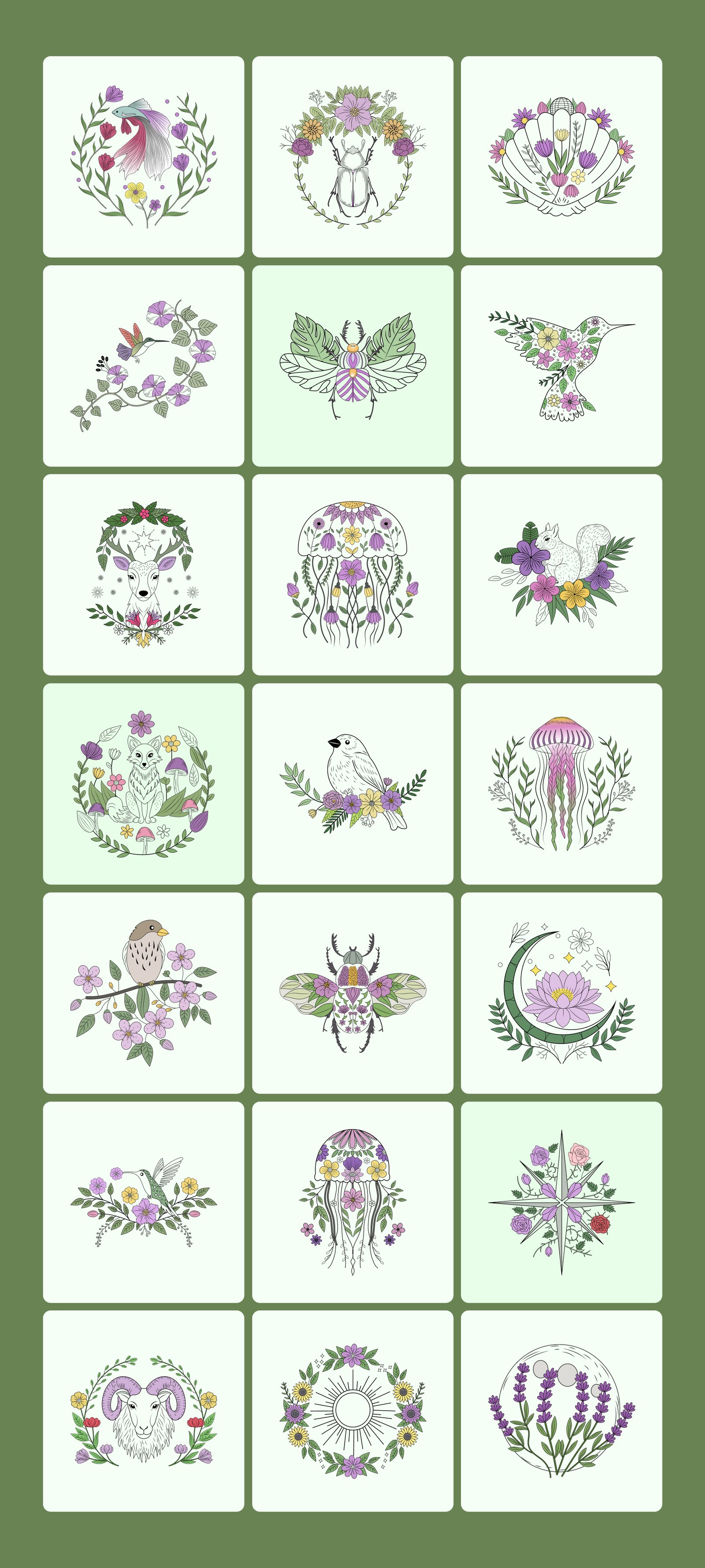 Vintage Nature Illustration Bundle