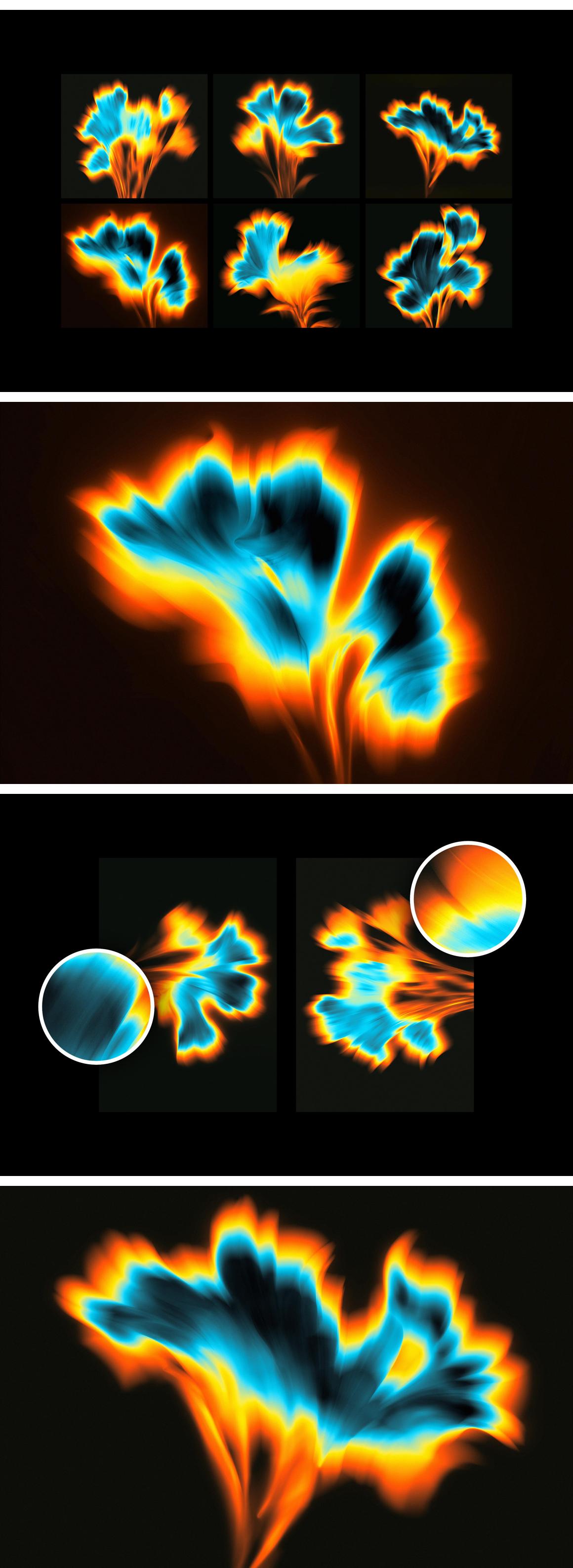 Floral Daze Backgrounds