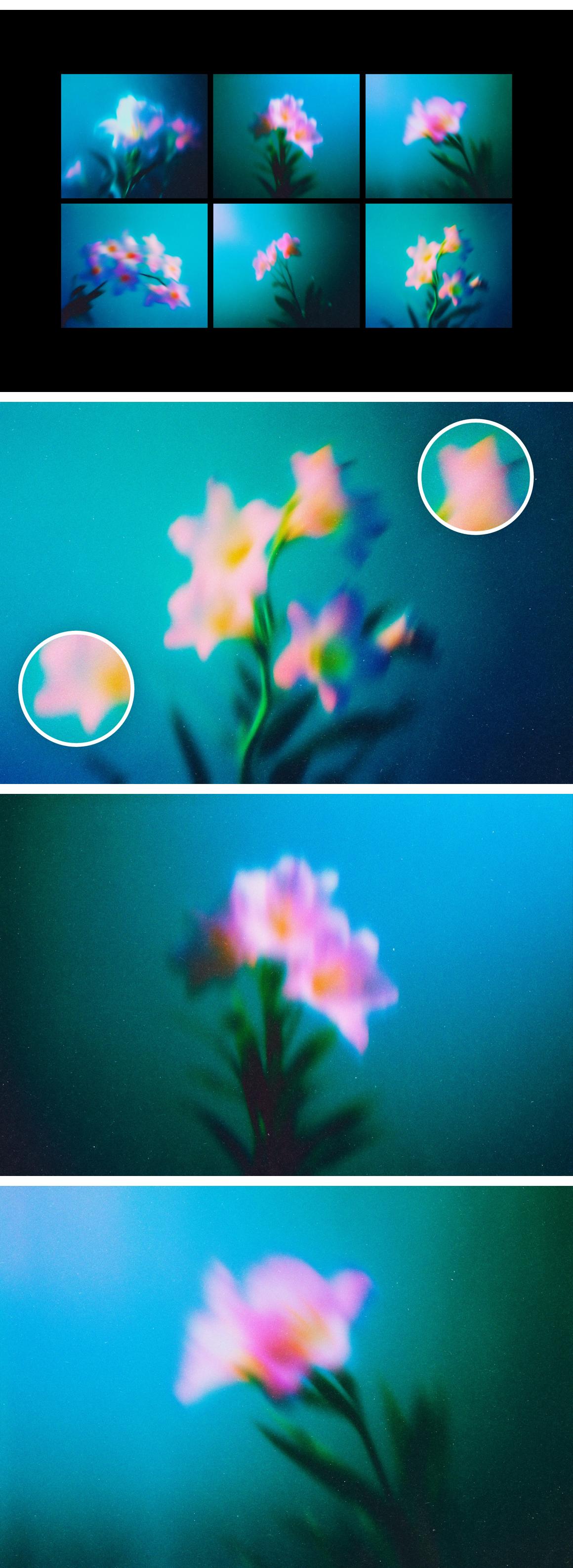 Abstract Blurred Flowers Backgrounds Pack