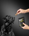 Dog and Hand Holding Stand-Up Pouch Mockup