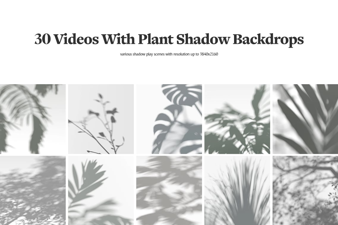 Plant Shadow Backdrops Video Bundle