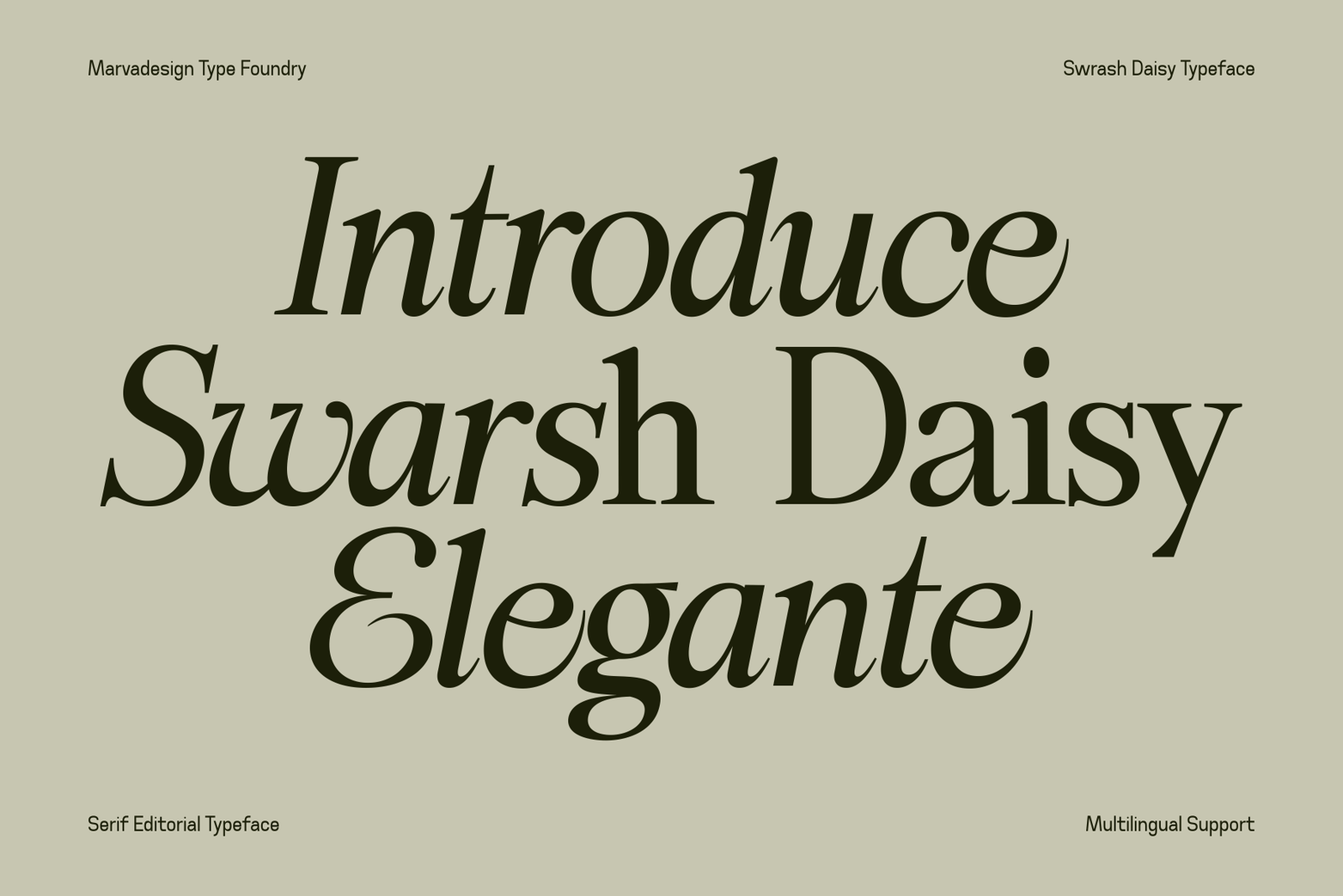 Swarsh Daisy Font