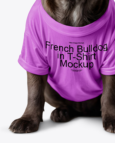 French Bulldog Wearing a T-Shirt Mockup