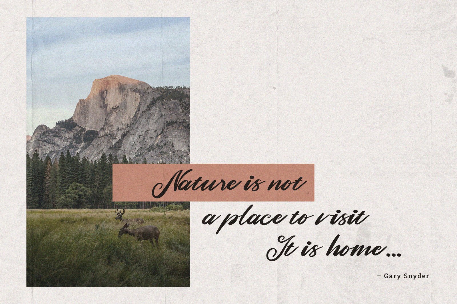 Romane | Classic Handwritten Script Font