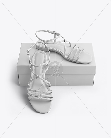 Pair of Strappy Sandals With Box Mockup