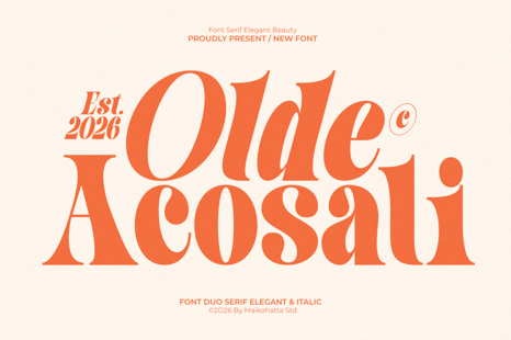 Olde Acosai – Elegant Serif Duo Font - Fonts