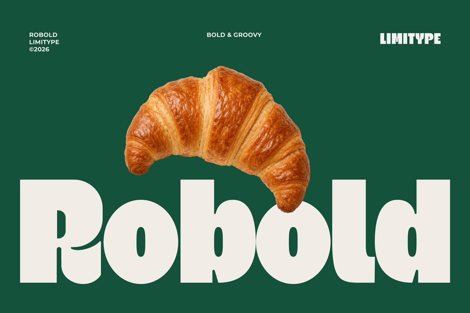 Robold - Bold Display Font