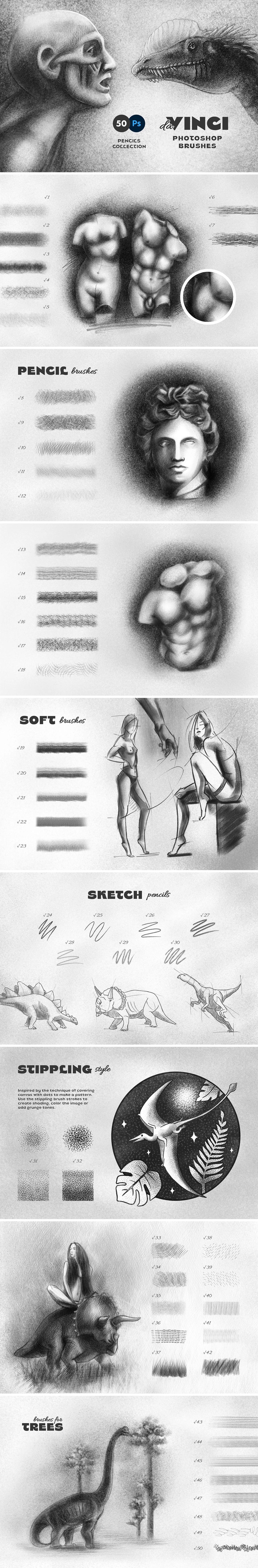 12-in-1 Photoshop Brushes Bundle