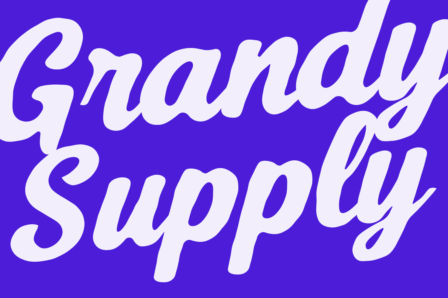 Segalecy Retro Vintage Font Duo Script Sans