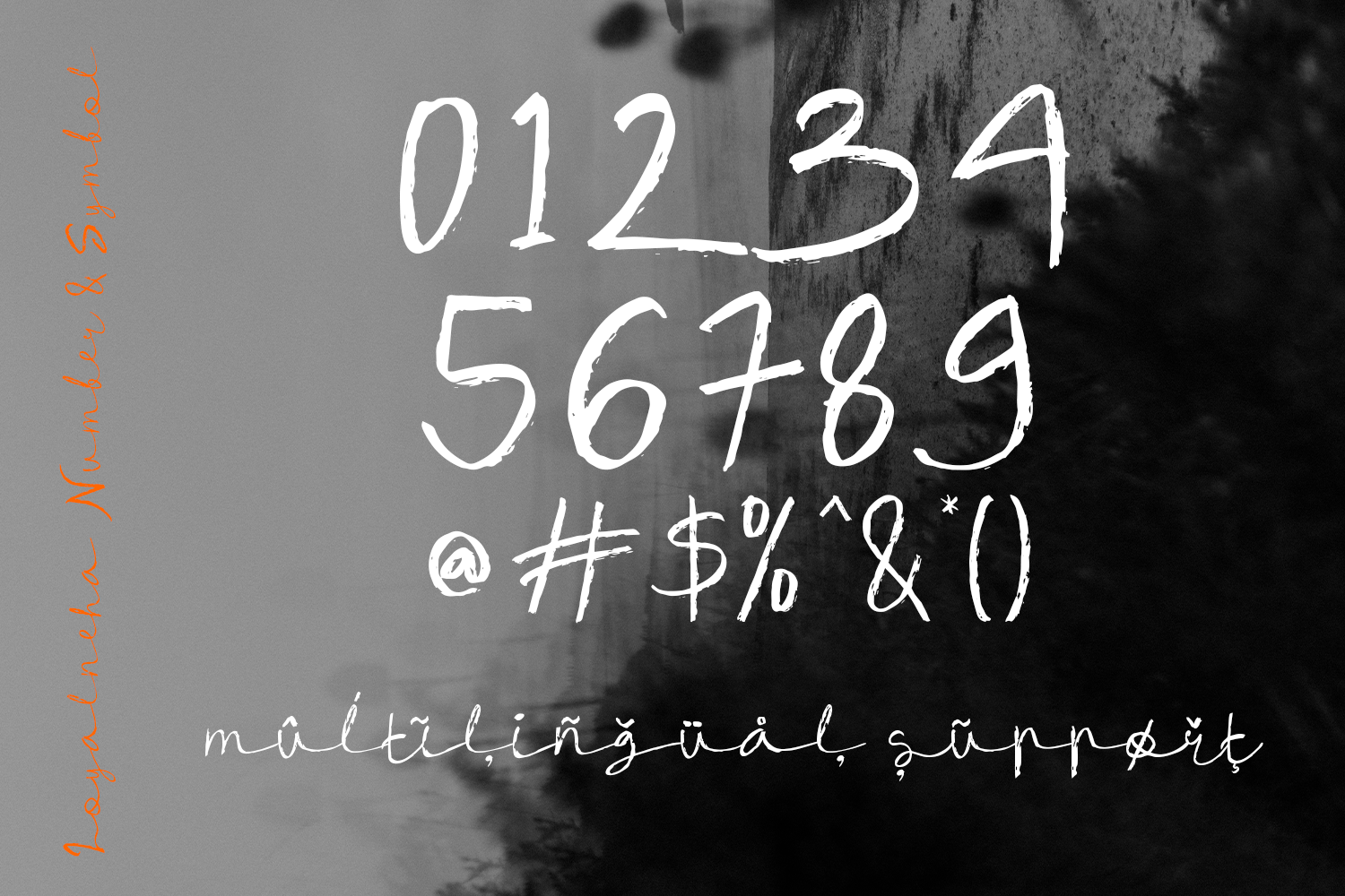 Loyalneha Brush Script
